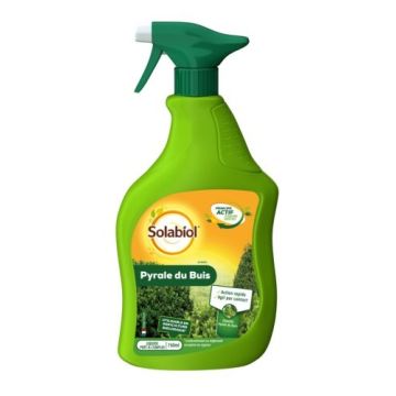 Piral del boj listo para usar Solabiol