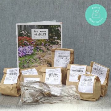 Cesta Bons Plants especial bulbos