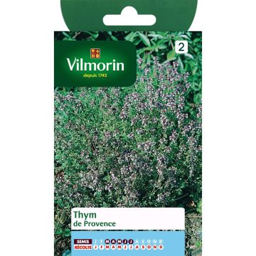 Tomillo - Vilmorin