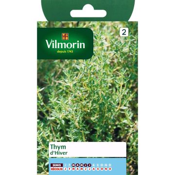 Tomillo invierno - Vilmorin