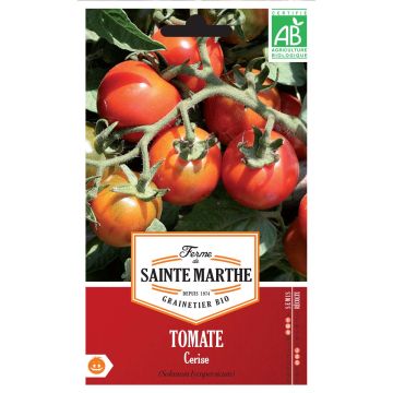 Tomate cherri Cerise