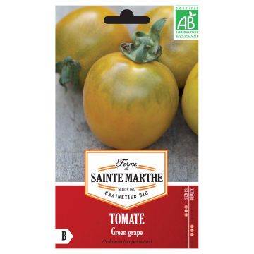 Tomate Green Grape