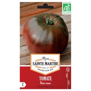 Tomate Noire Russe