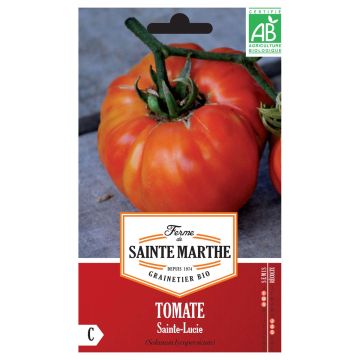Tomate Sainte Lucie