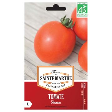 Tomate Siberian