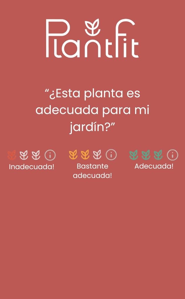 Consejos personalizados para su jardín