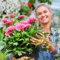 Ideas de regalos de jardín para mujeres
