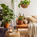 Plantas de interior por pieza de la casa