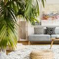 Plantas para el salón