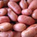 Patatas originales y coloridas