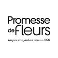 Semillas hortícolas Promesse de Fleurs