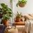 Plantas de interior por pieza de la casa