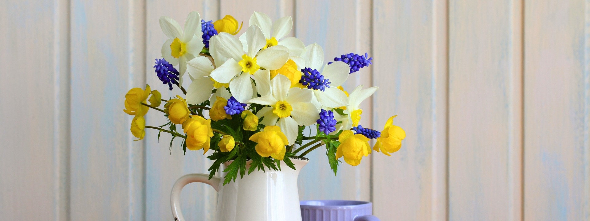 <i>Bulbos</i> DE PRIMAVERA